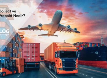 Freight Collect ve Freight Prepaid Nedir